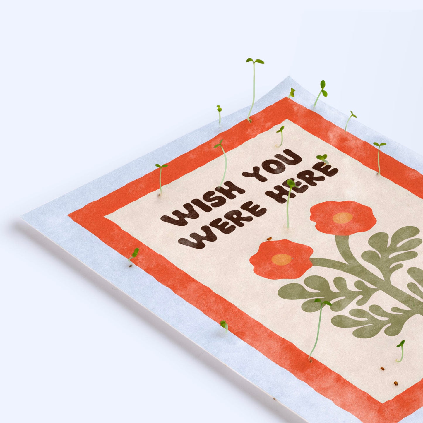 Postal Plantable Wish You Were Here Con Semillas De Manzanilla – Papel Reciclado - Resetea_2