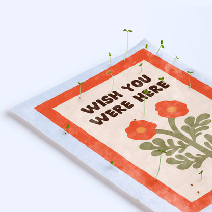 Postal Plantable Wish You Were Here Con Semillas De Manzanilla – Papel Reciclado - Resetea_2