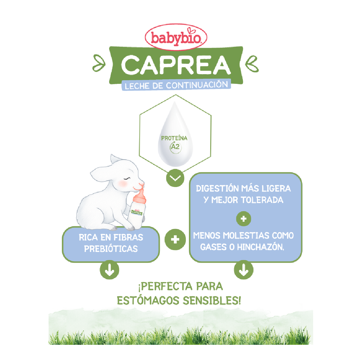 Pack 3 uds Leche cabra crecimiento Caprea 3 (12 meses a 3 años) Babybio 800 g
