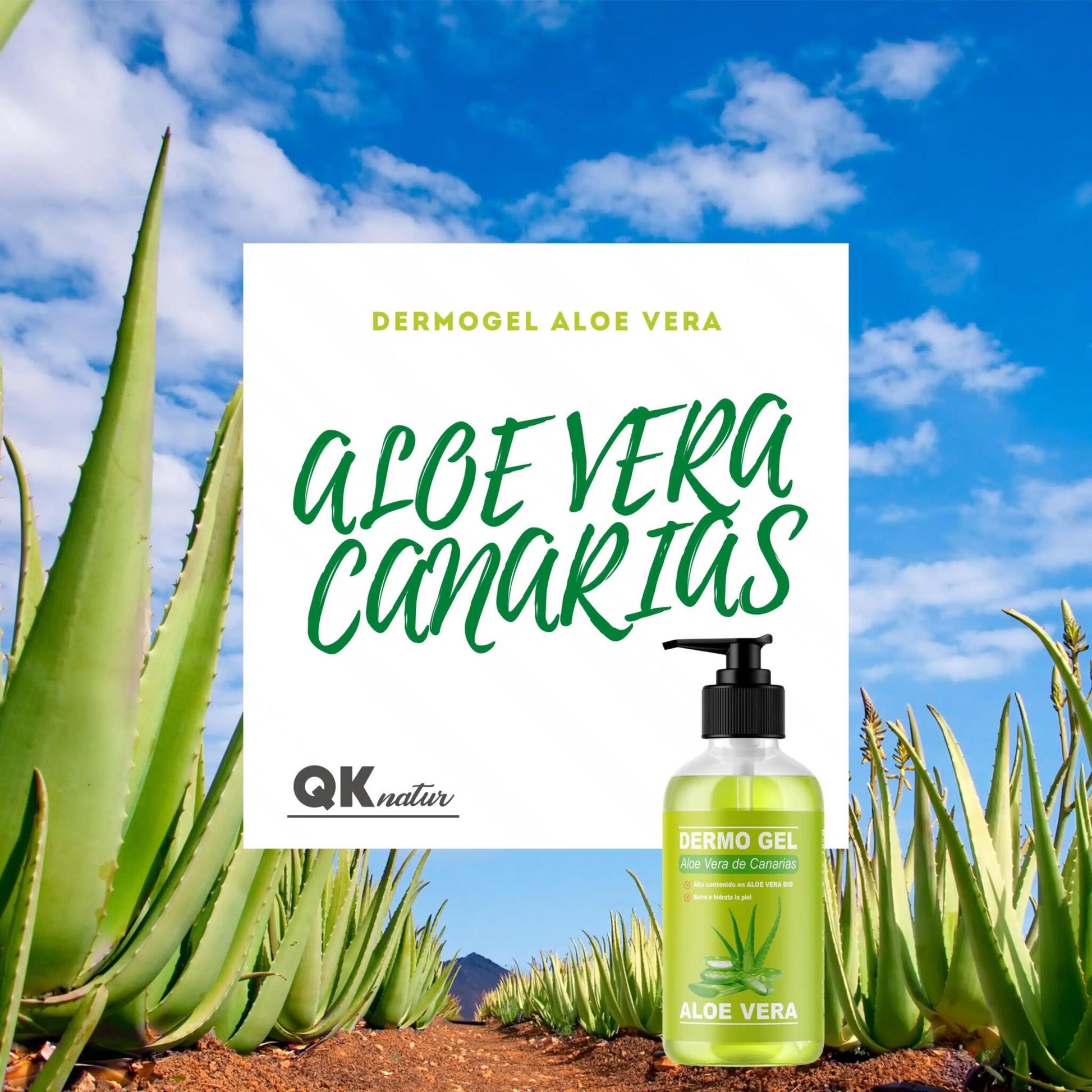 QKnatur - Dermo Gel Aloe Vera De Canarias Bio - Efecto Calmante, Nutre E Hidrata La Piel Para Cara Y Cuerpo - 250 Ml_1