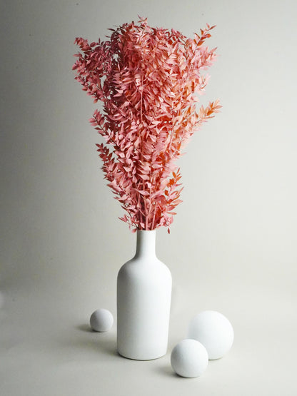 Ruscus Preservado_0