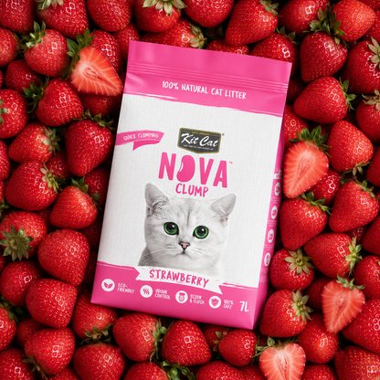 Pack 6 Kit Cat Arena Eco Nova Clump - Strawberry 7 L Arena para gatos - Dulce y Frutal Suave