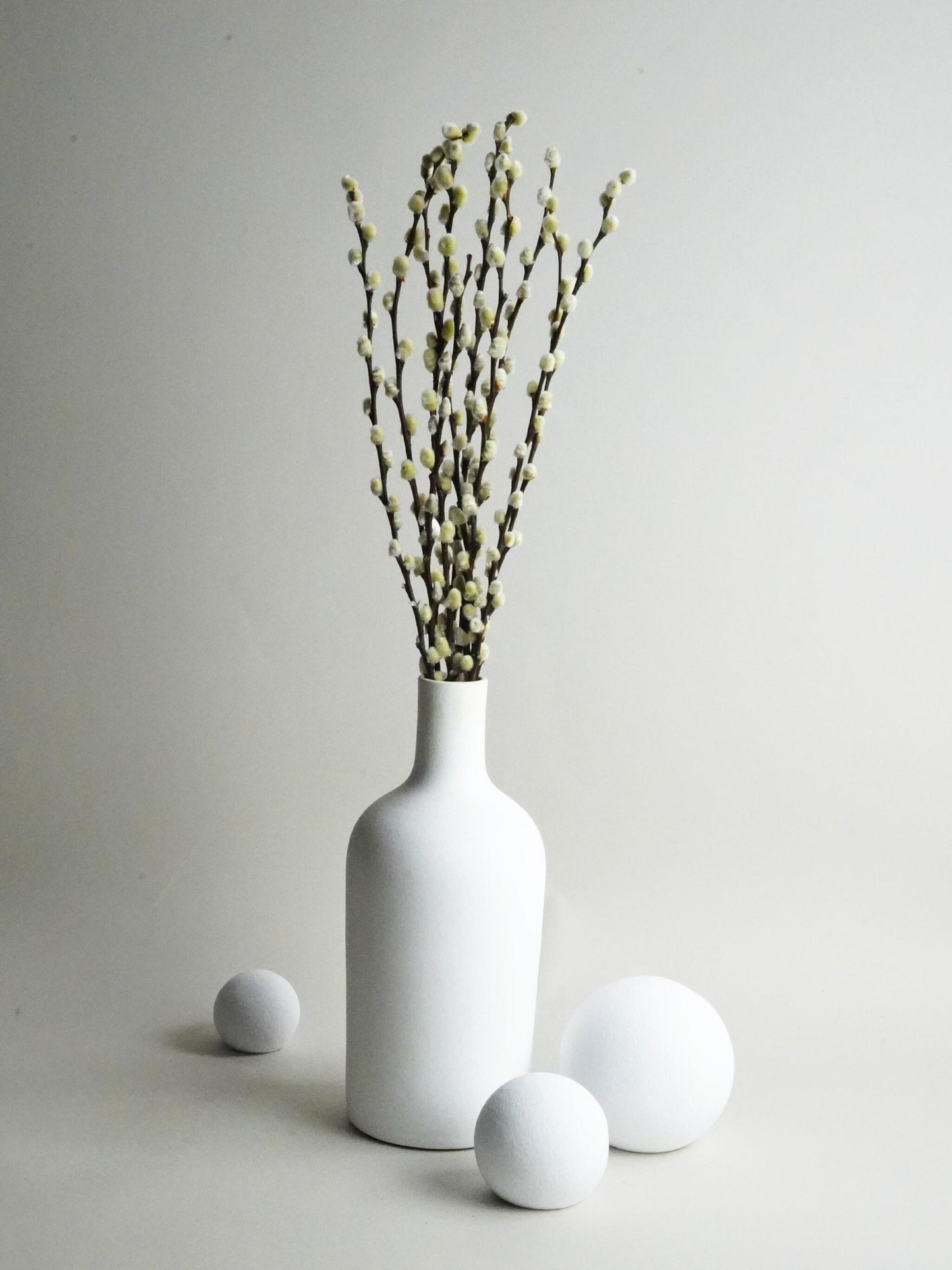 Salix Preservada_1