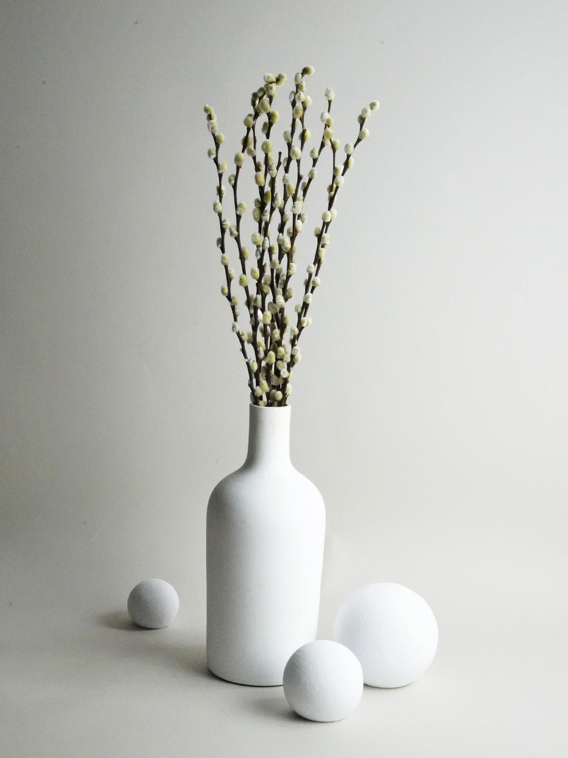 Salix Preservada_1