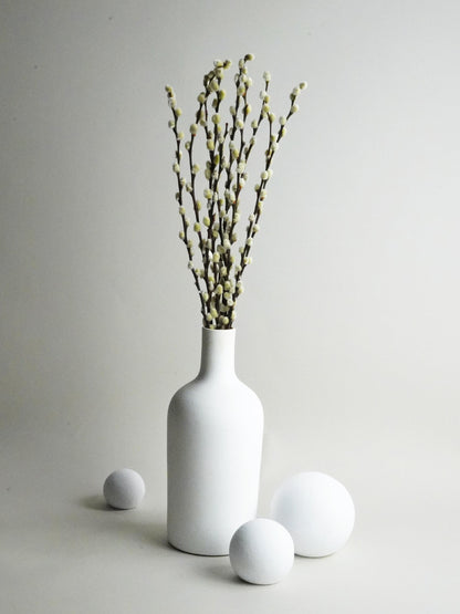 Salix Preservada_1