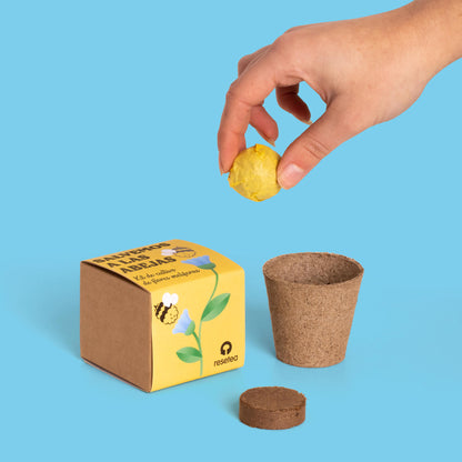 Salvemos A Las Abejas | Kit Cultivo Flores Melíferas Con Bomba De Semillas Para Polinizadores | Regalo Educativo_3
