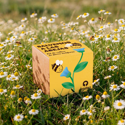 Salvemos A Las Abejas | Kit Cultivo Flores Melíferas Con Bomba De Semillas Para Polinizadores | Regalo Educativo_4