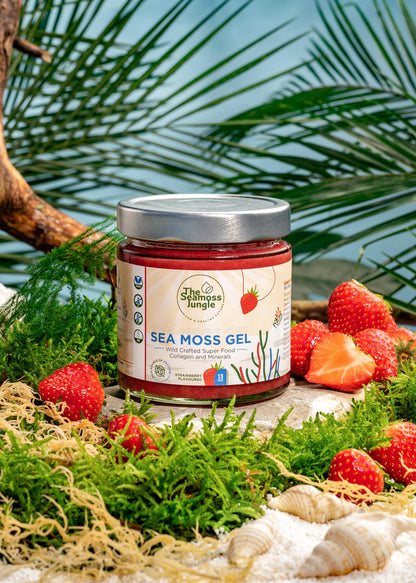 Sea Moss Gel Fresa 500 ml_1