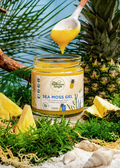 Sea Moss Gel Piña 500 ml_2