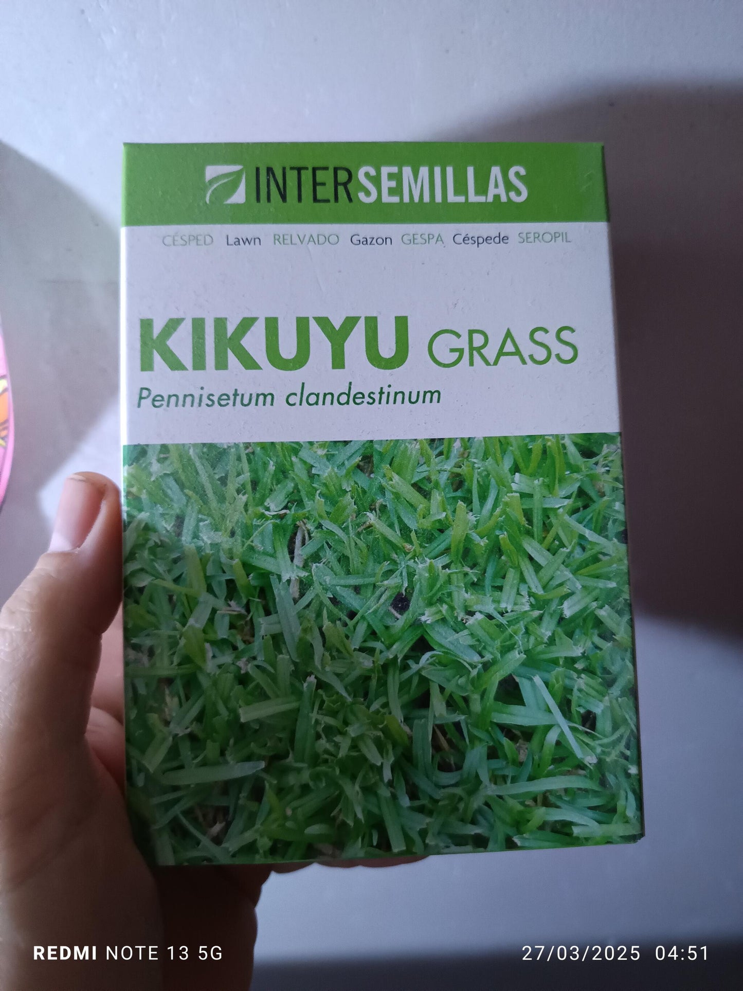 Semillas De Cesped Kikuyu Grass Caja De 250g_0