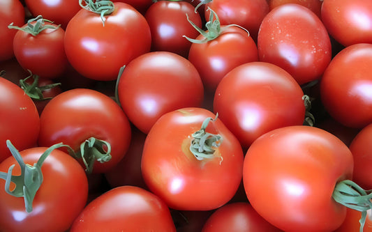 Semillas De Tomate Dorenia Ecológicas_0