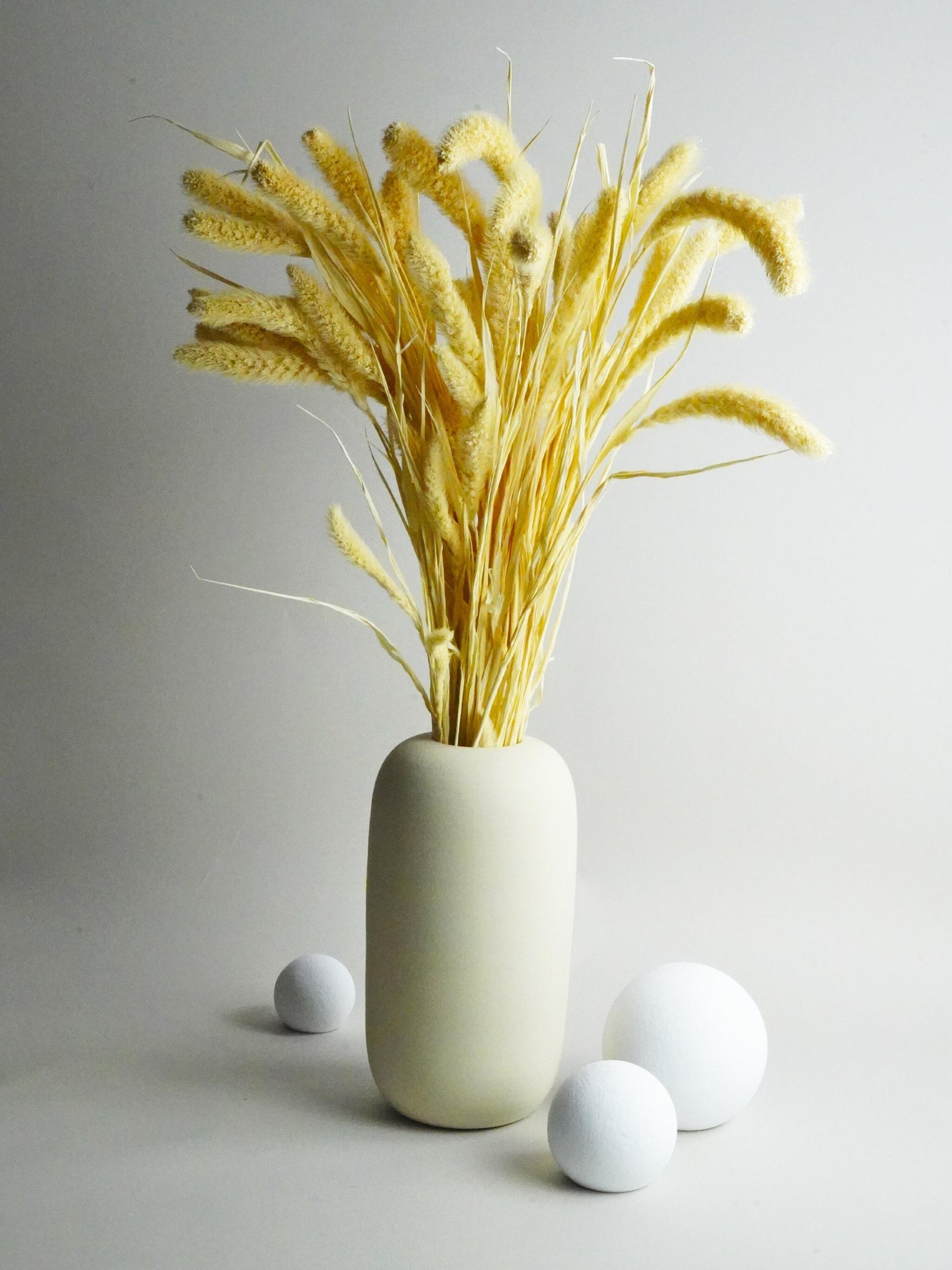 Setaria Seca_0