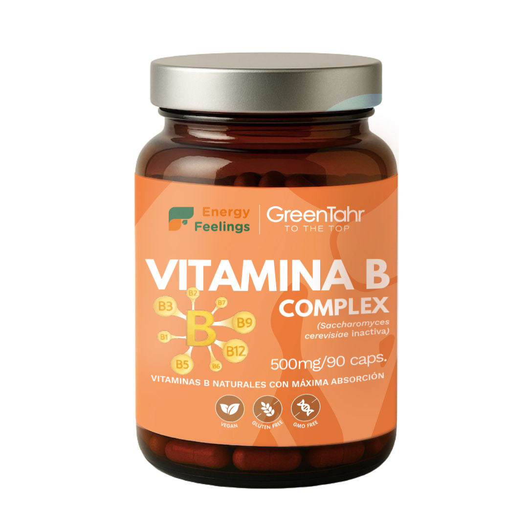 VITAB Biodisponible Energy Feelings cápsulas (90ud/500mg)