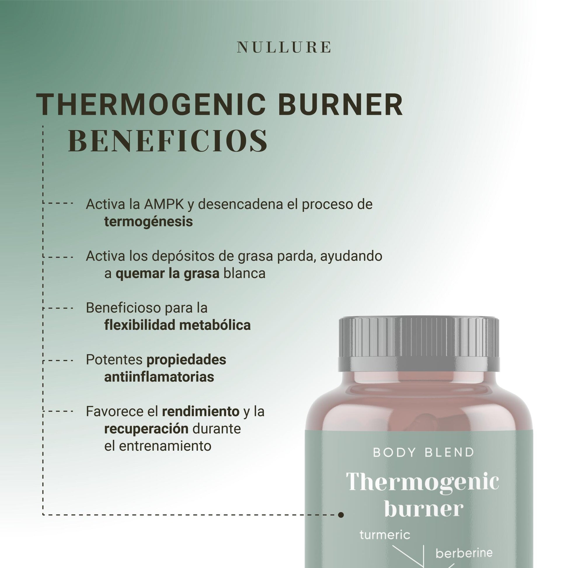 Termogénico quemagrasas – adelgazante natural con té verde, cúrcuma y resveratrol (120 cápsulas)_1