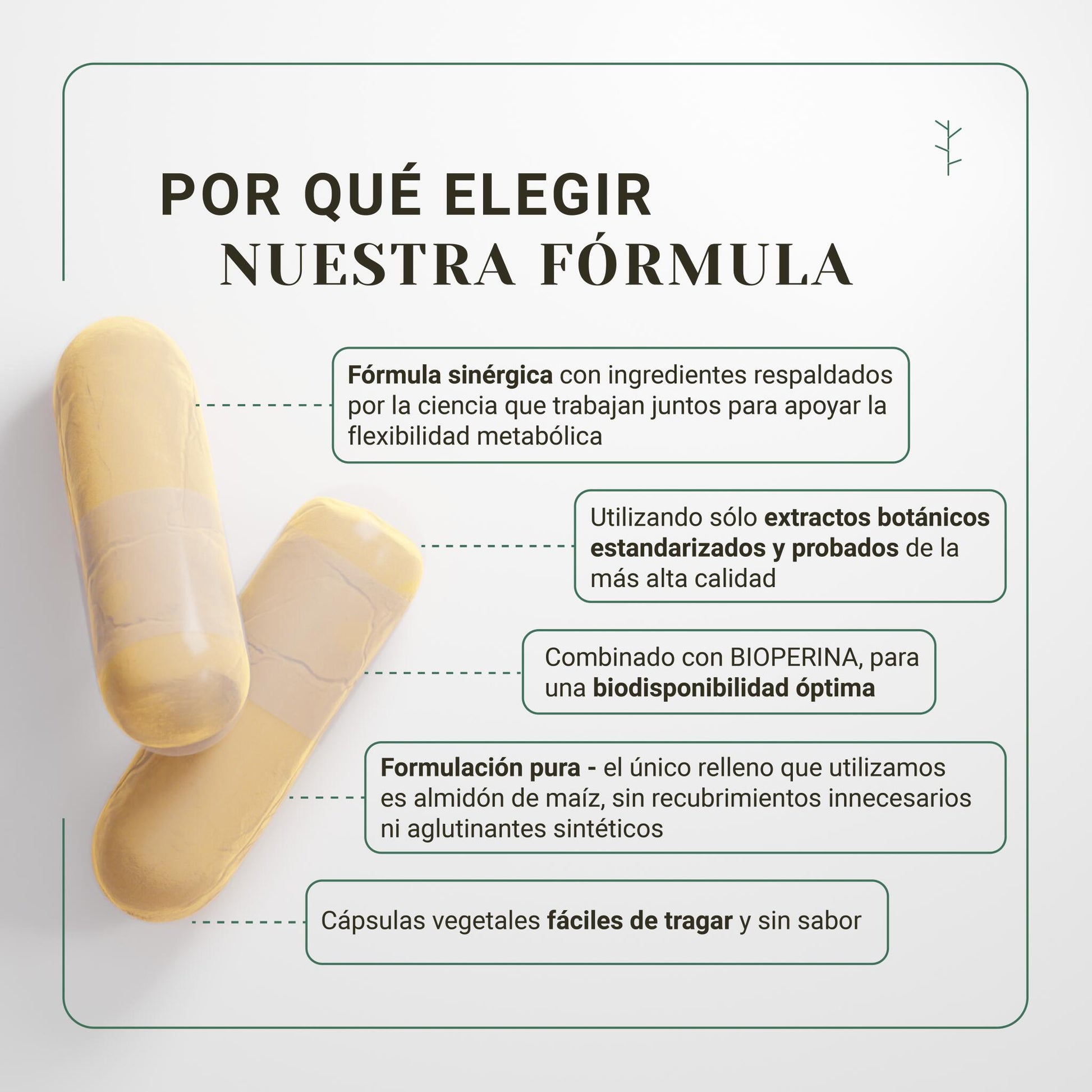 Termogénico quemagrasas nullure – adelgazante natural con té verde, cúrcuma y resveratrol (120 cápsulas)_2