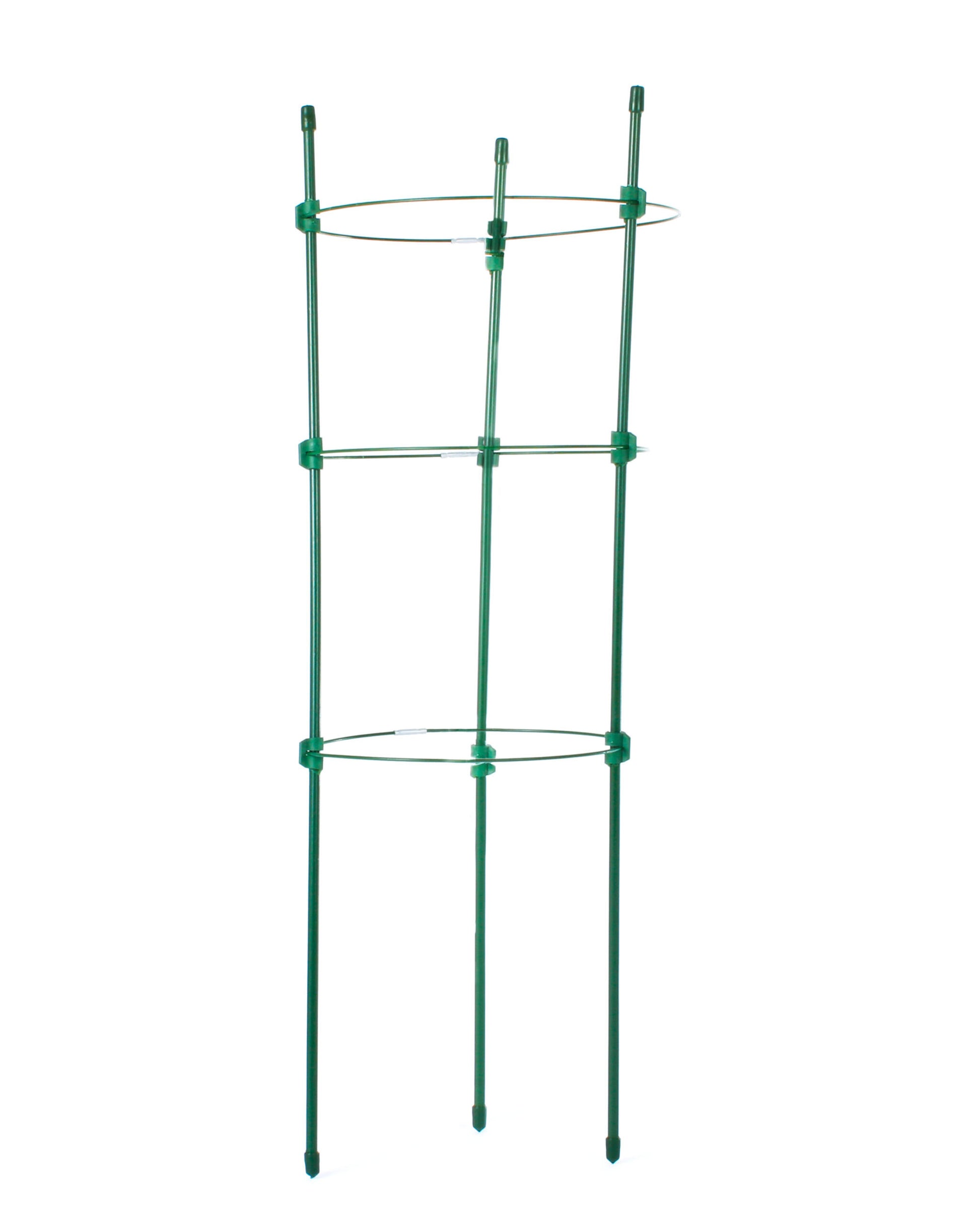 Tutor Circular De 45 Cm_0