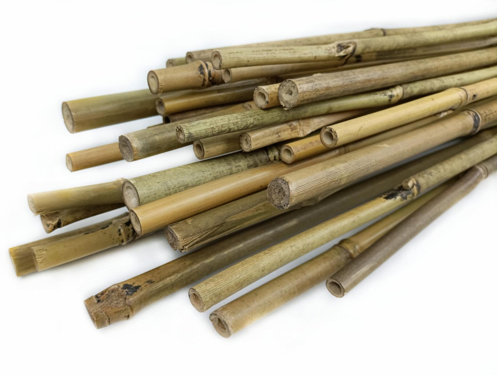 Tutor De Bambú Pack 30 Unidades Cultivers 0,90 M_0