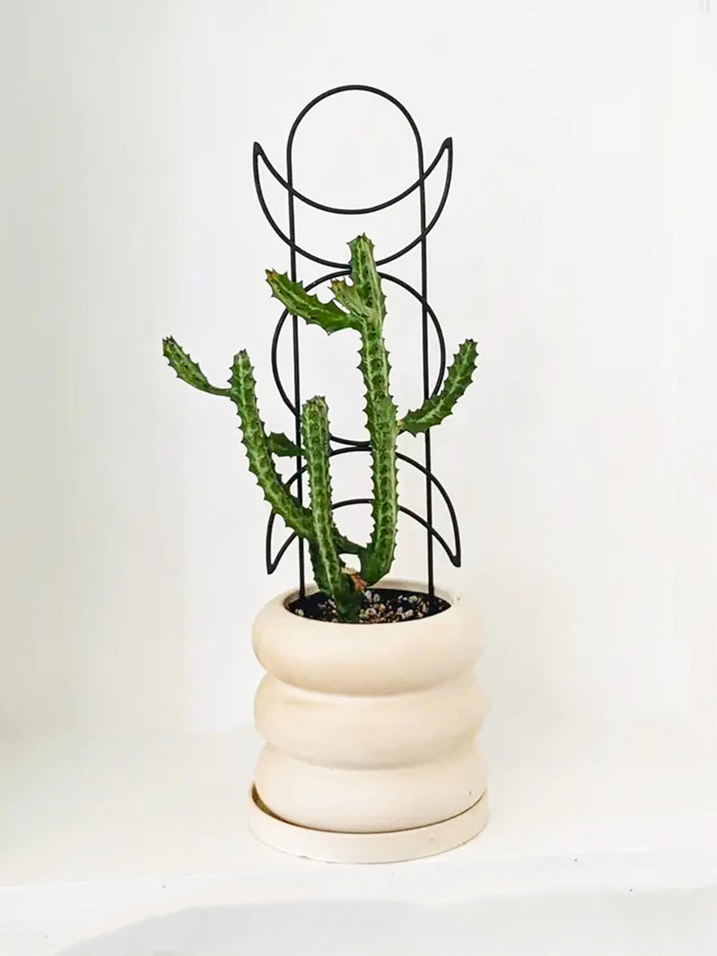 Tutor Metálico Fase Lunar_0