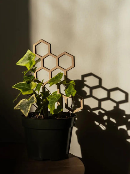 Tutor Nido De Abeja #3_0