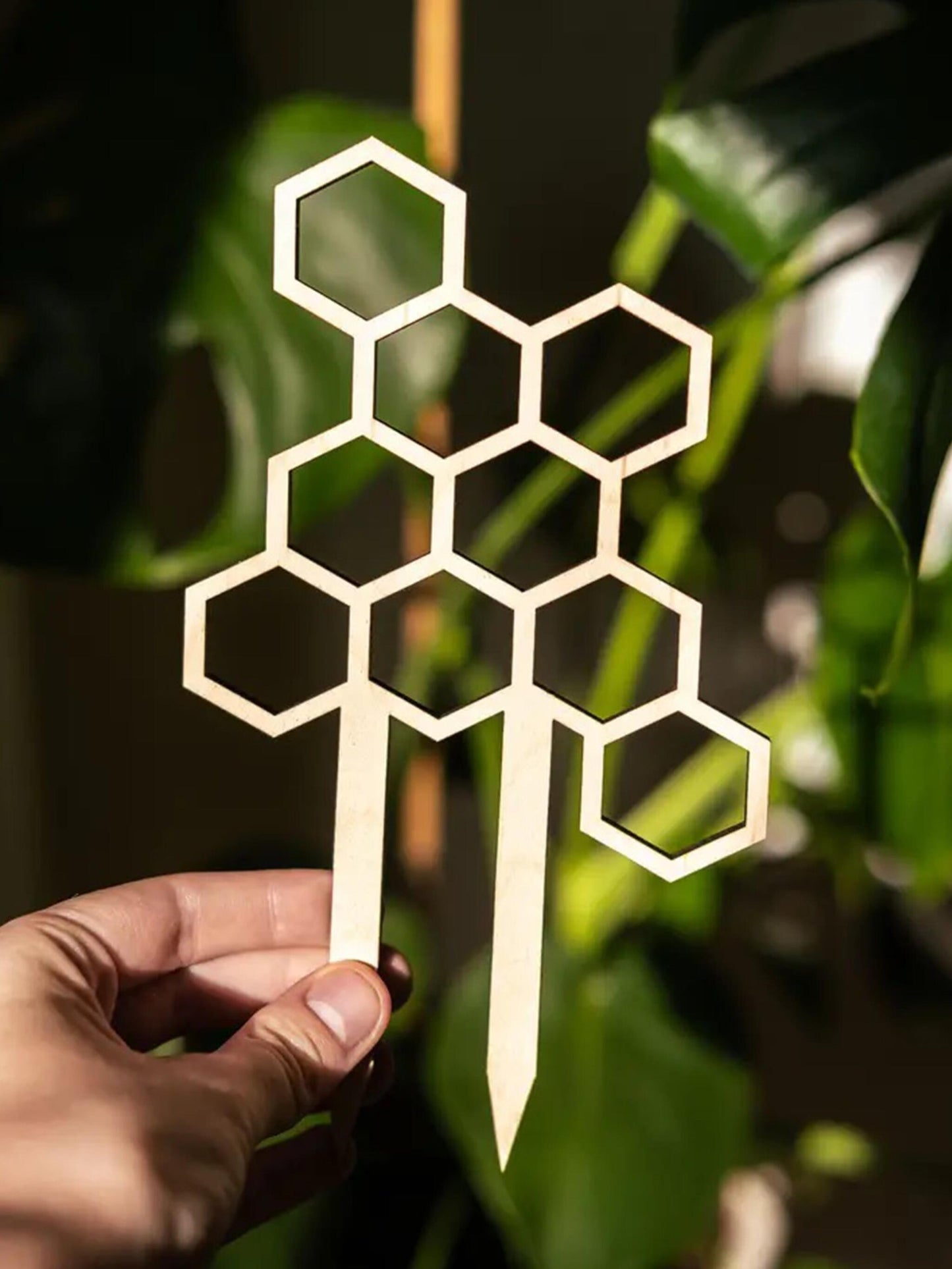 Tutor Nido De Abeja #3_3