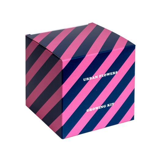 Urban Flowers Azules | Kit De Cultivo De Flores Azules | Lino Azul, Nomeolvides Y Aciano_0