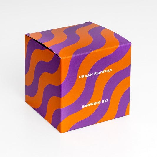 Urban Flowers Naranjas | Kit De Cultivo De Flores Naranjas | Caléndula, Capuchina Y Tagetes_0