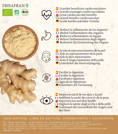 Jengibre En Polvo Ecológico | Calidad | Frisafran 1 Kg_3