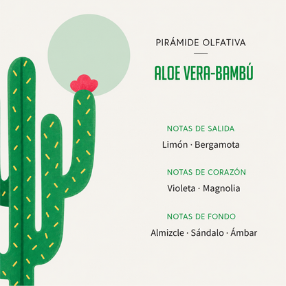 Ambientador Difusor Cactus Aloe Vera-Bambú Deco Diffuser SYS Aromas 90 ml | Aroma Fresco y Herbal | Relajante_2