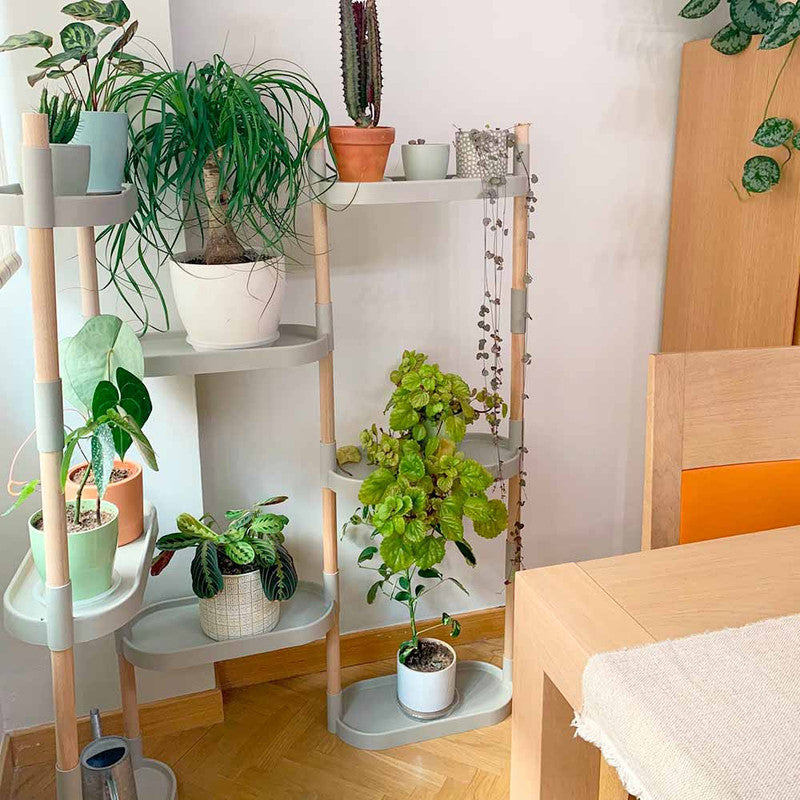 Soporte Modular Citysens De 8 Bandejas Gris, Con 4 Plantas De Regalo_2