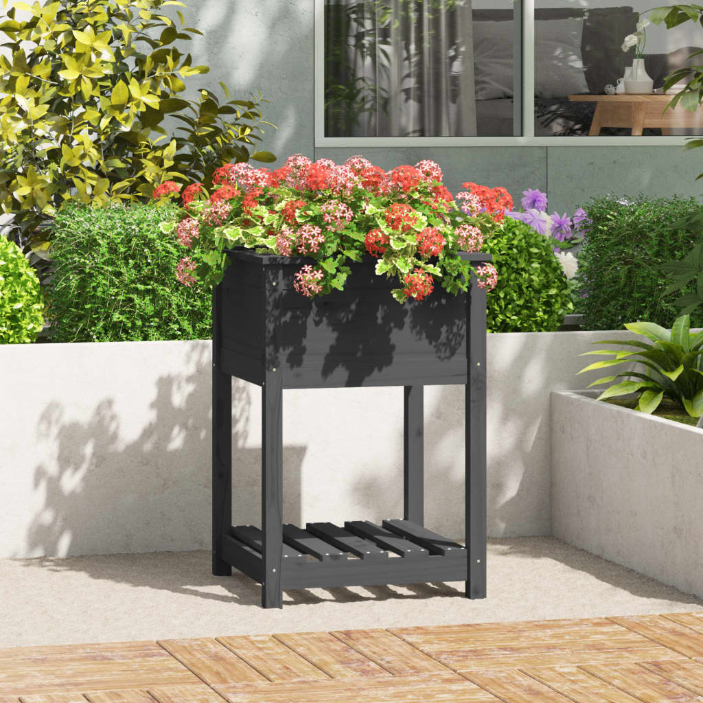 Jardinera Con Estante Madera Maciza De Pino Gris 54x34,5x81 Cm_1