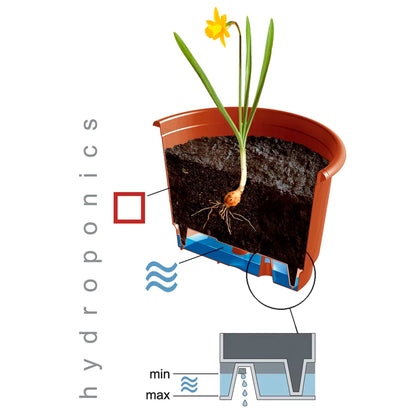 Macetero Colgante Pro 5l., Dimensiones (mm) 240x240x155, Color Blanco_3