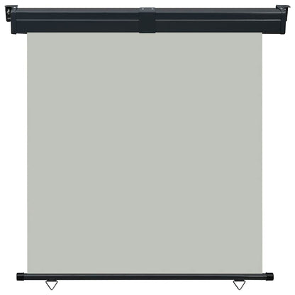 Vidaxl Toldo Lateral De Balcón Gris 165x250 Cm_1