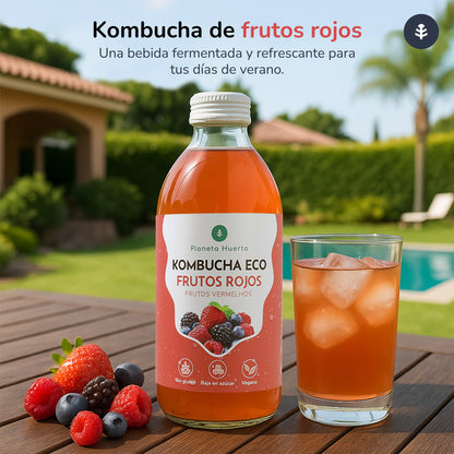 Pack 6x Kombucha ECO Frutos rojos Planeta Huerto 330 ml