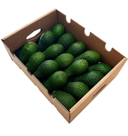 Aguacate caja de 6kg - producción local y sostenible en Castellón. Directos del agricultor a tu casa_0