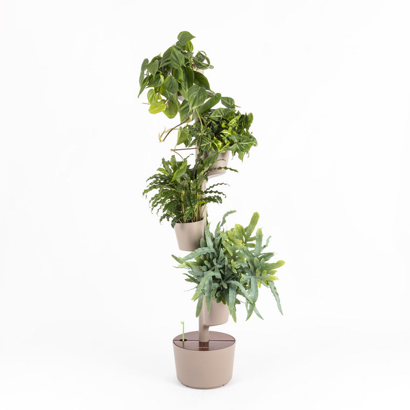 Macetero Vertical Citysens Con Riego Inteligente De 4 Macetas Color Corteza De Pino, Con 4 Plantas De Regalo_0