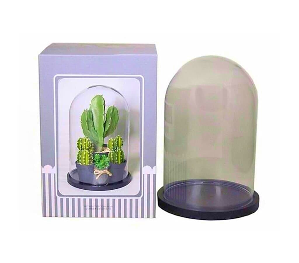 Cúpula De Cristal Con Base Negra 10x15cm_0