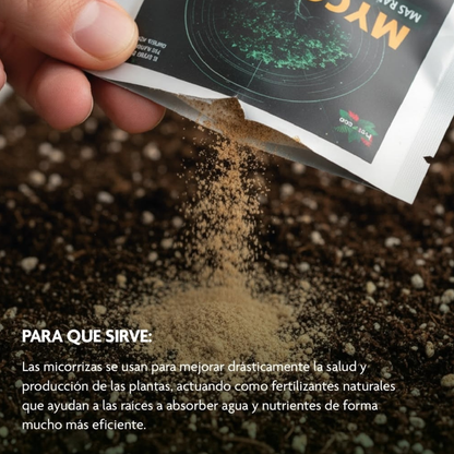 Mycoprot Prot-eco – Micorrizas Ecológicas Para Fortalecer Raíces Y Regenerar El Suelo 🌱_2
