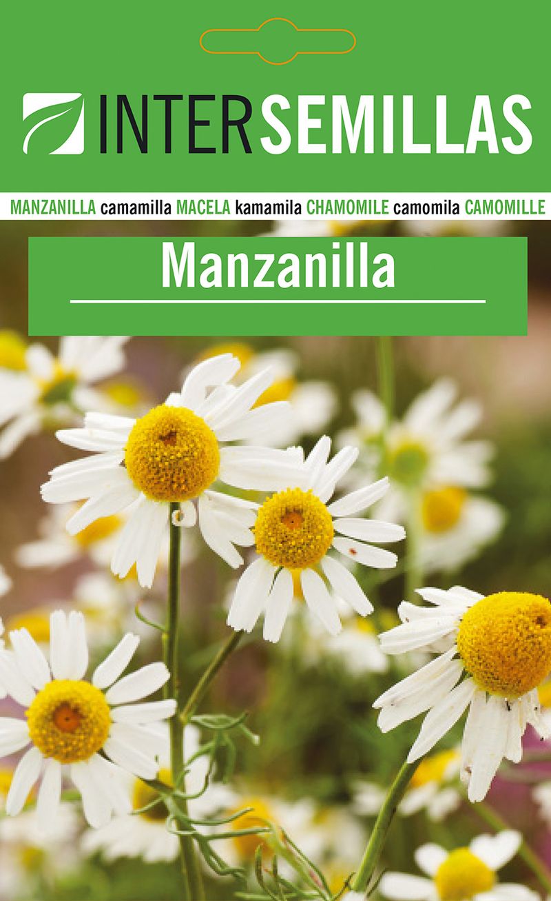 Sobre De Semillas De Manzanilla