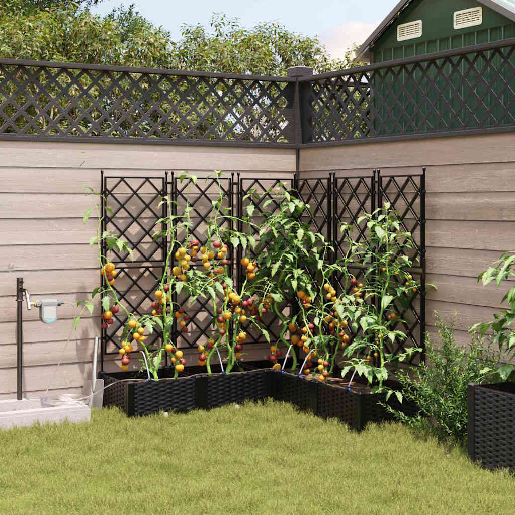 Macetero De Jardín 5 Uds. Negro 120 X 120 X 126 Cm Pp_1