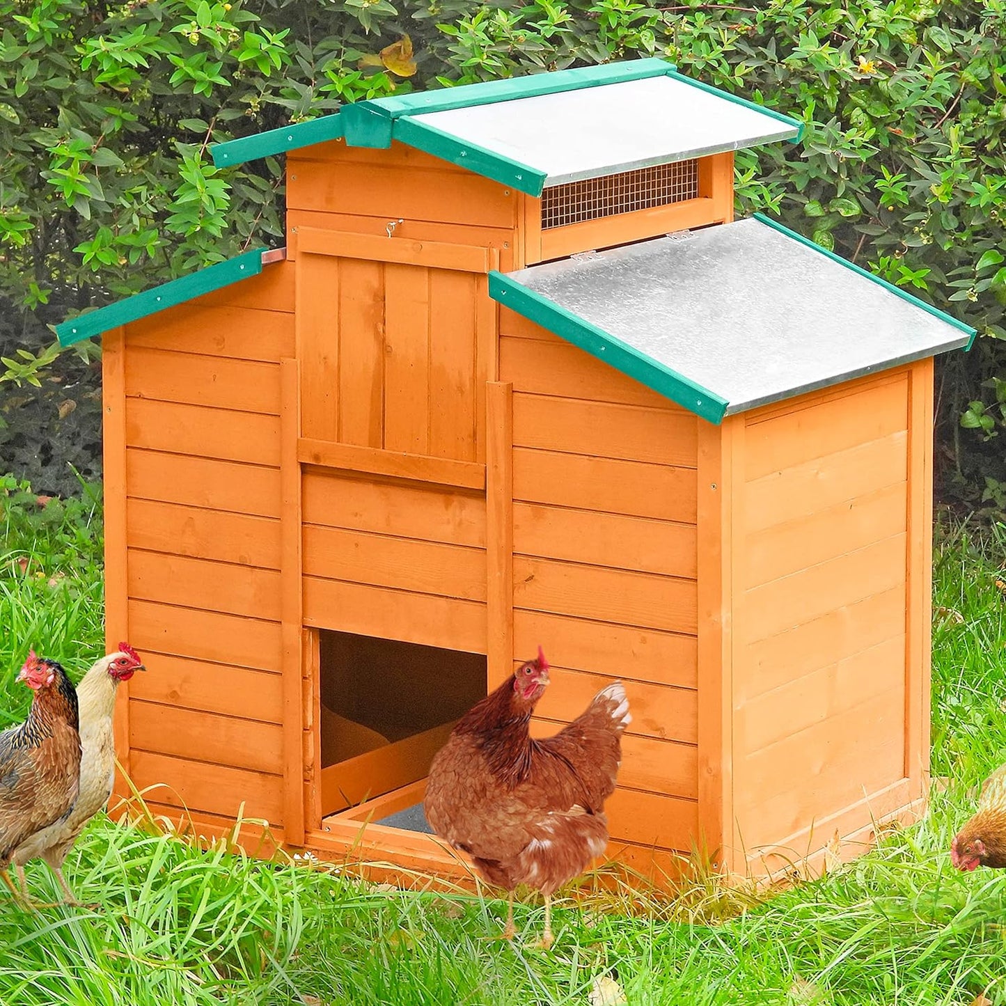 Gallinero Halifax Para 3-4 Gallinas de madera, bandeja extraíble_0