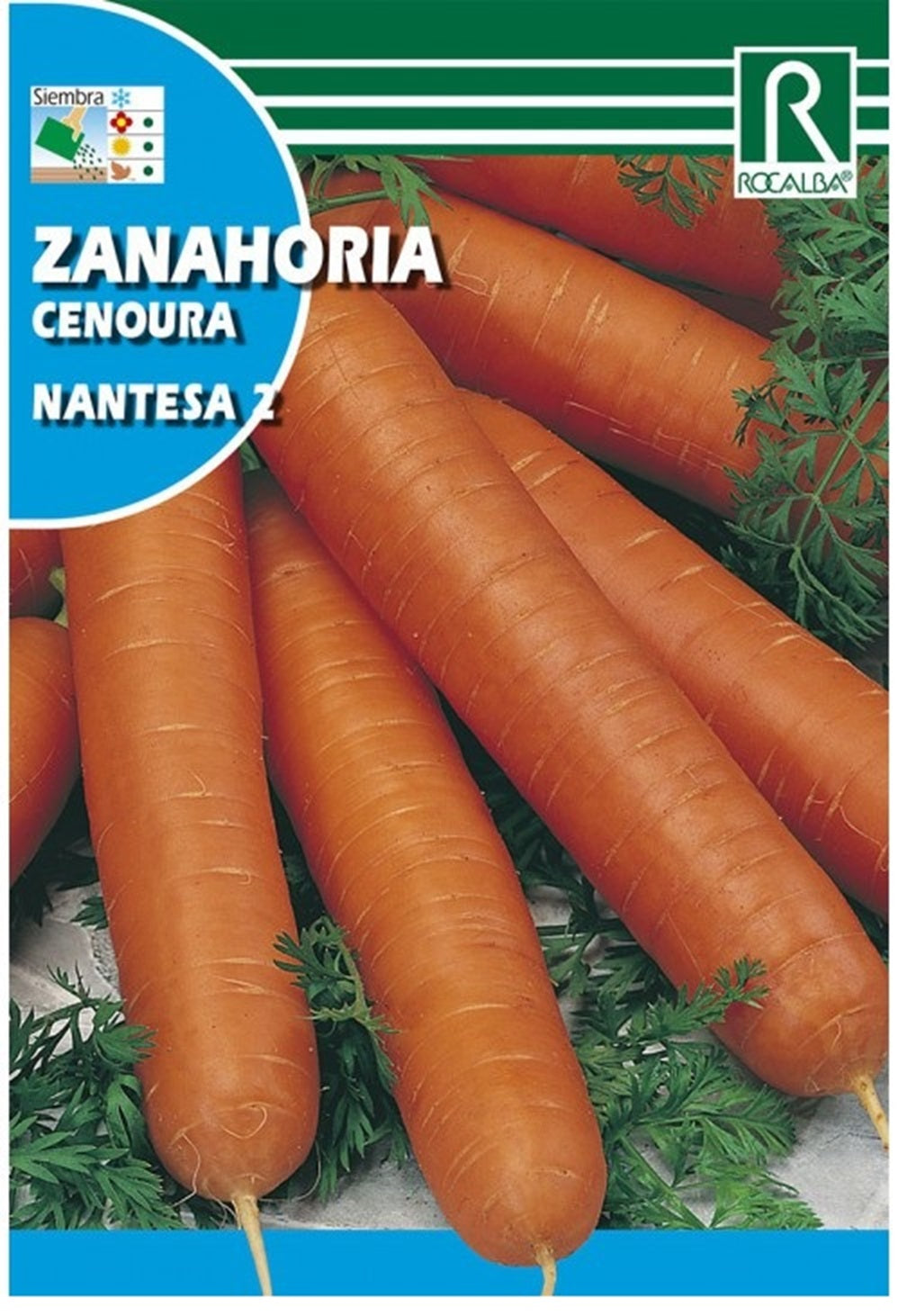 Semillas Zanahoria Nantesa 10g