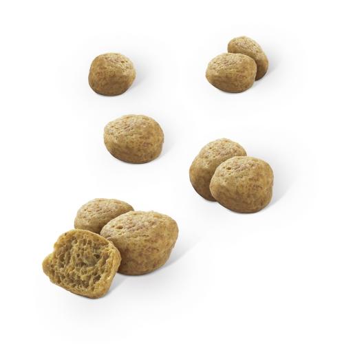 Dentalife Pollo Snack dental para gatos 40 g