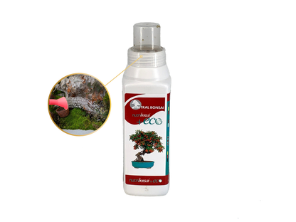 Kit Básico De Mantenimiento Para Bonsái