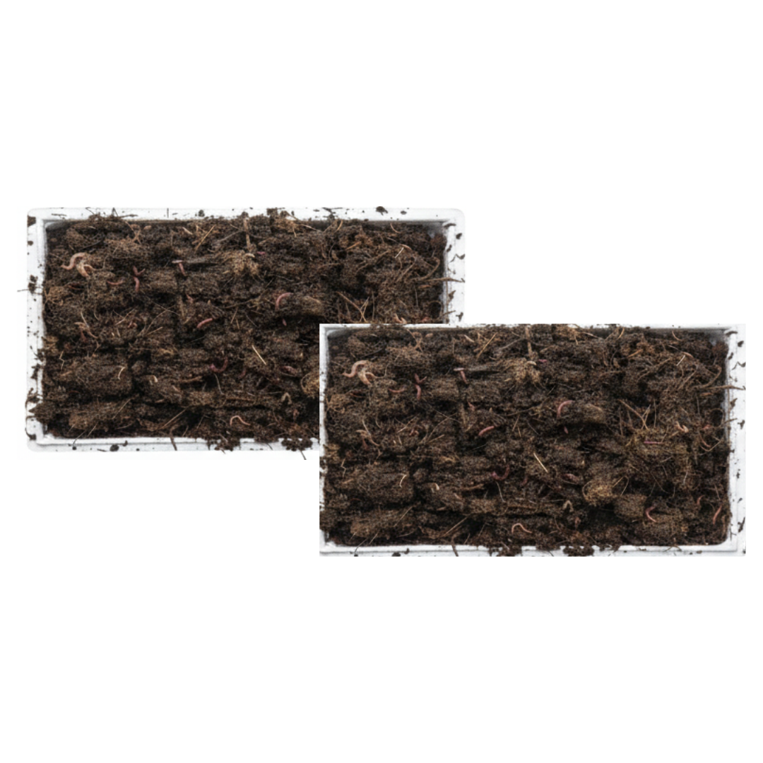 2 Cajas Para Compostador (lombriz Roja De California)_0
