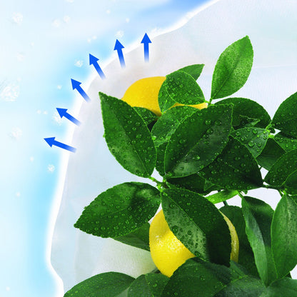 Funda de hibernación antiheladas Hiversac 50 g/m2 Nortene 3 ud