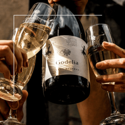 Godelia Espumoso Extra Brut Cuvee - Gran Reserva_1