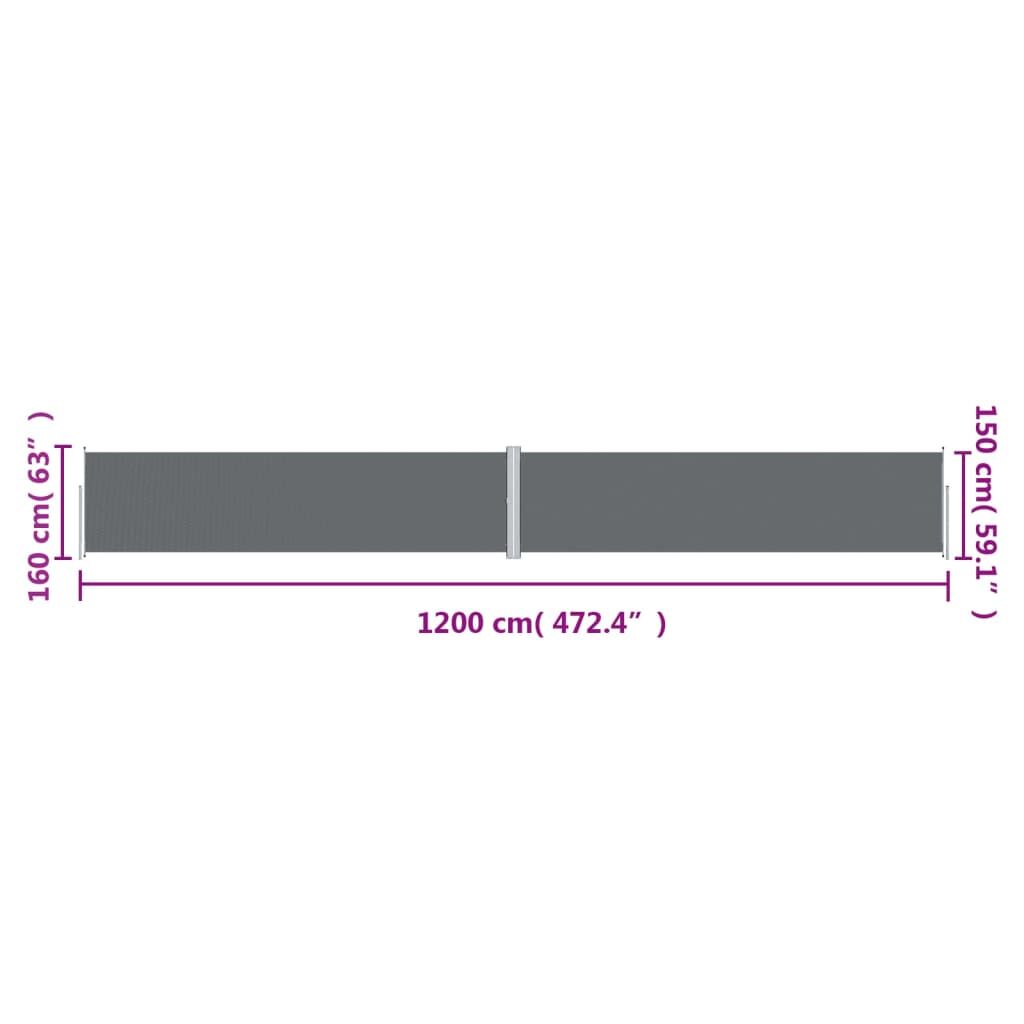 Vidaxl Toldo Lateral Retráctil Antracita 160x1200 Cm_2