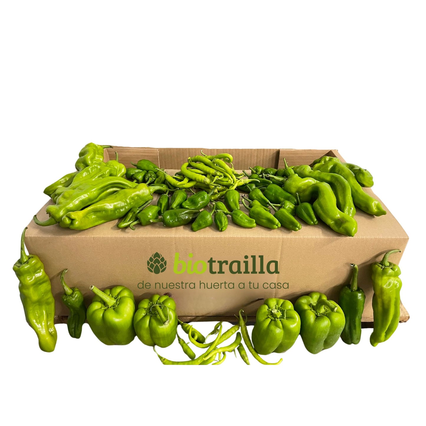 Caja 7kg de pimientos BIO De La Huerta Navarra_0