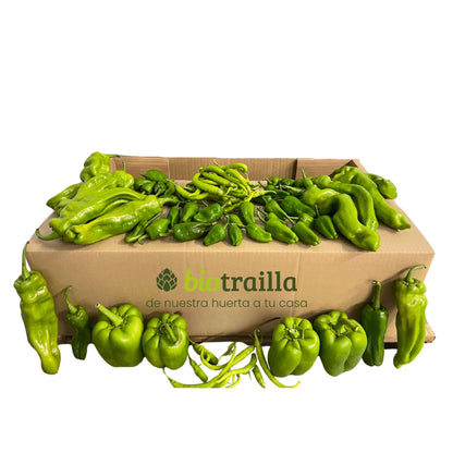 Caja 7kg de pimientos BIO De La Huerta Navarra_0