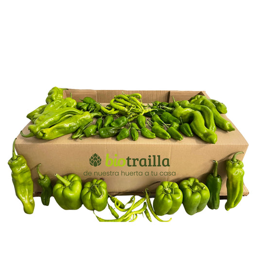 Caja 7kg de pimientos BIO De La Huerta Navarra_0